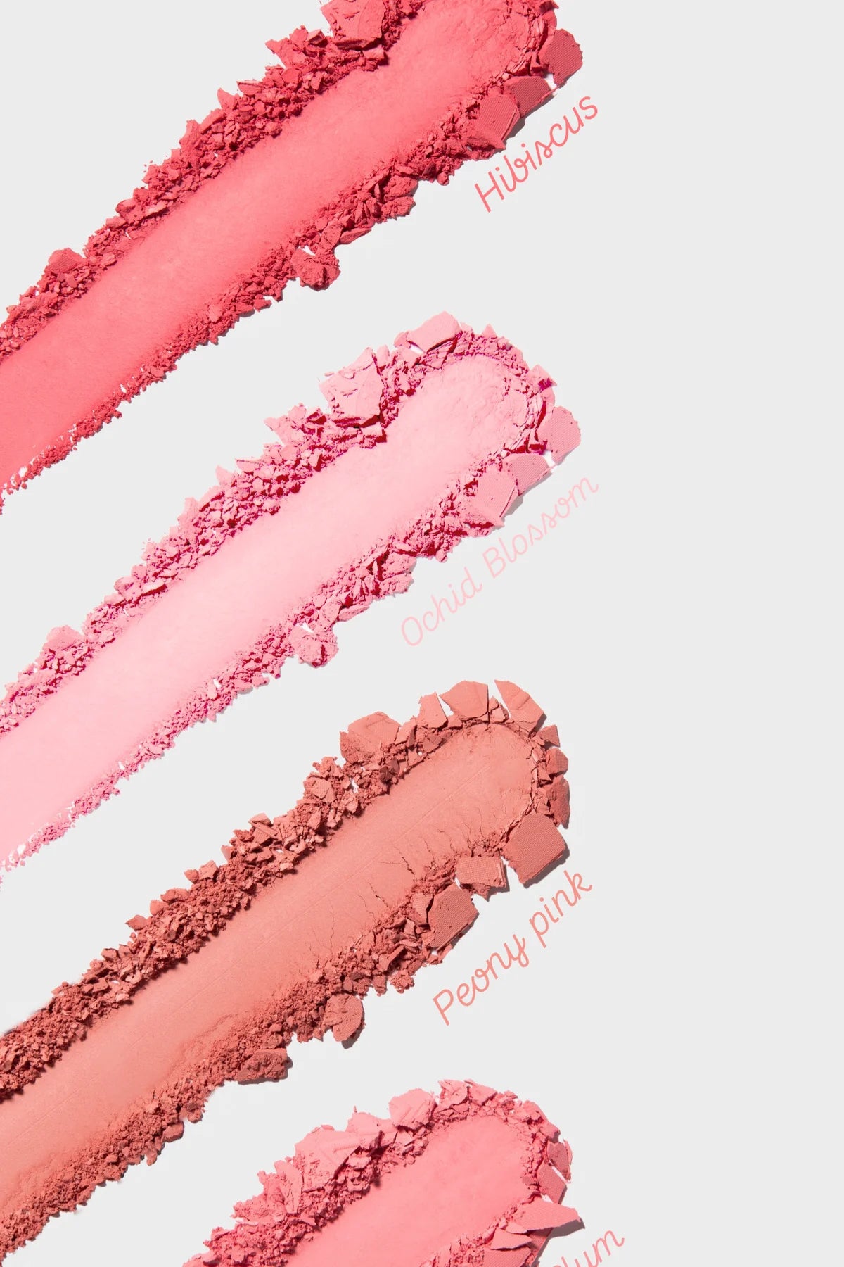 Hibiscus powder blush