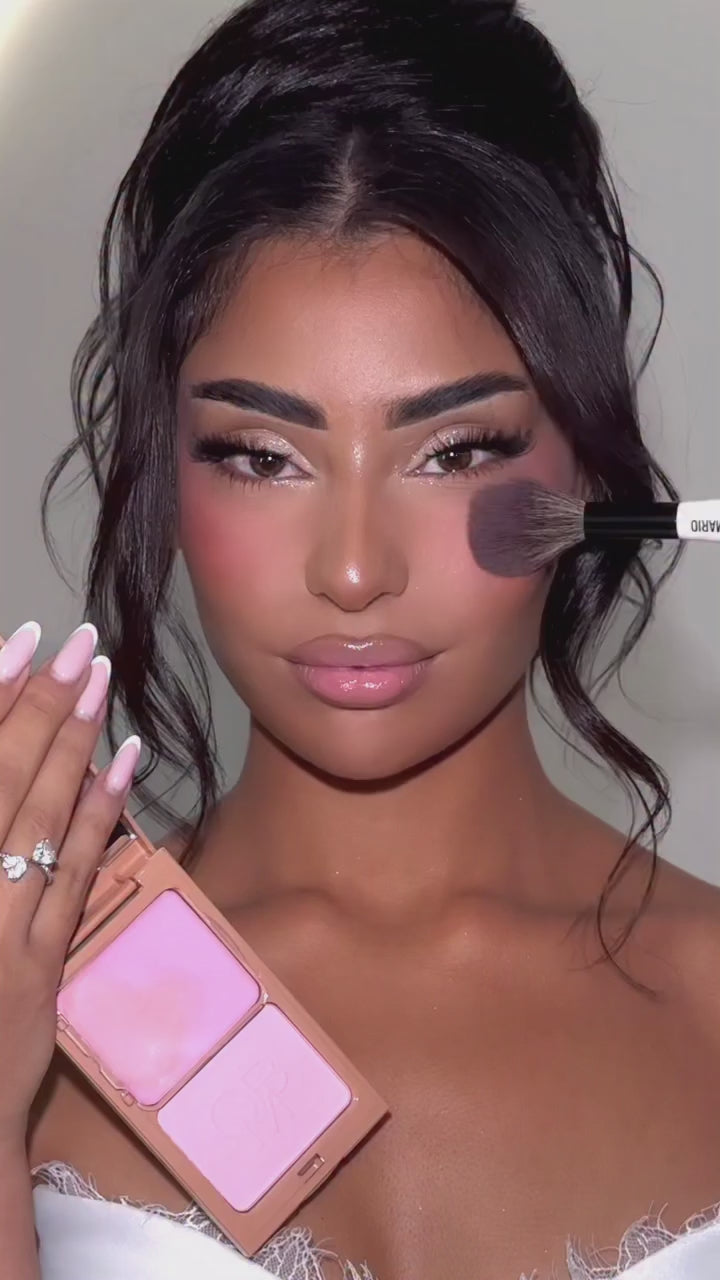 Blush fusion Orchid blossom