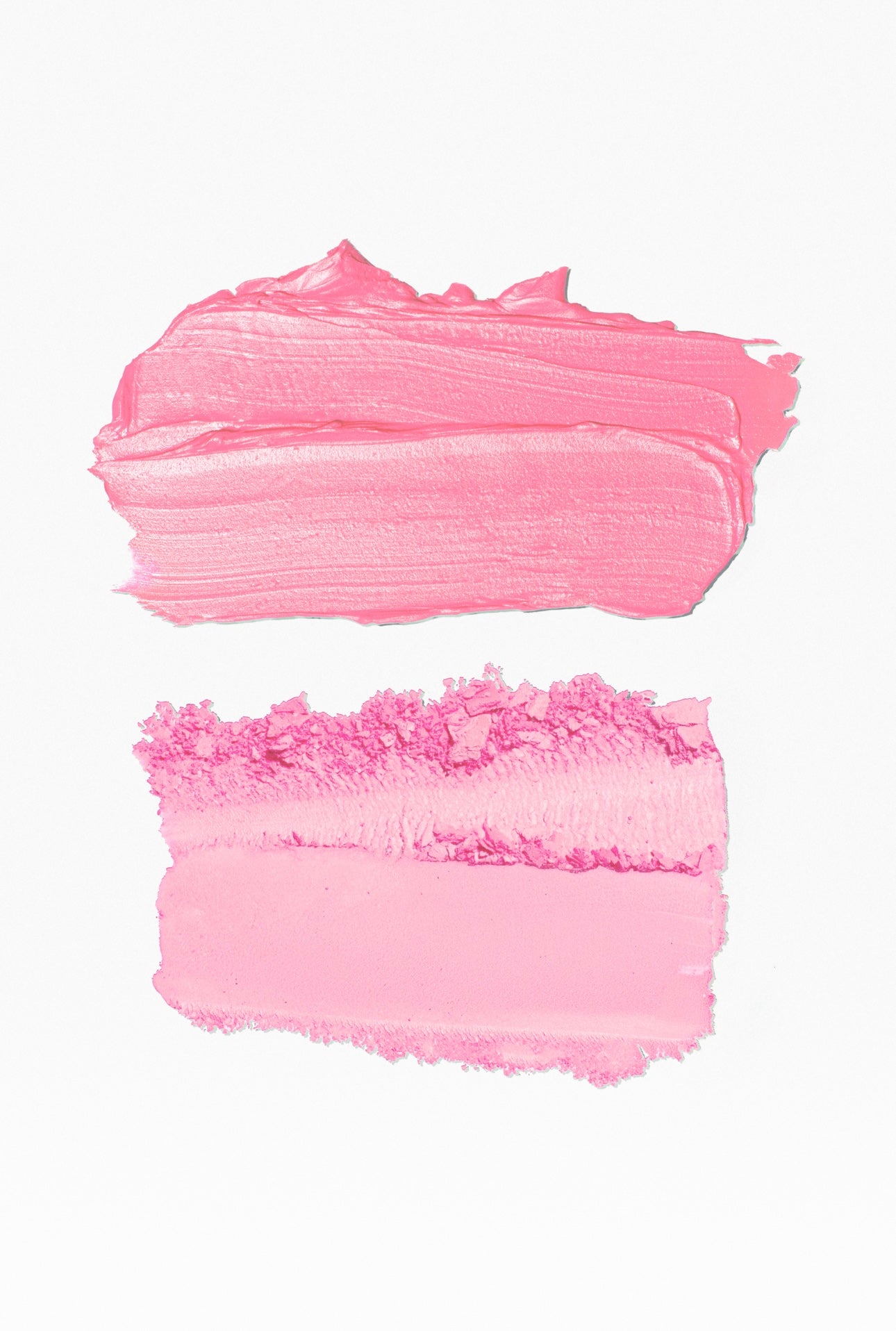 Blush fusion Orchid blossom